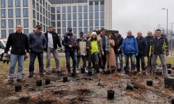 Grupa pracowników IBM, która wykonała nasadzenia